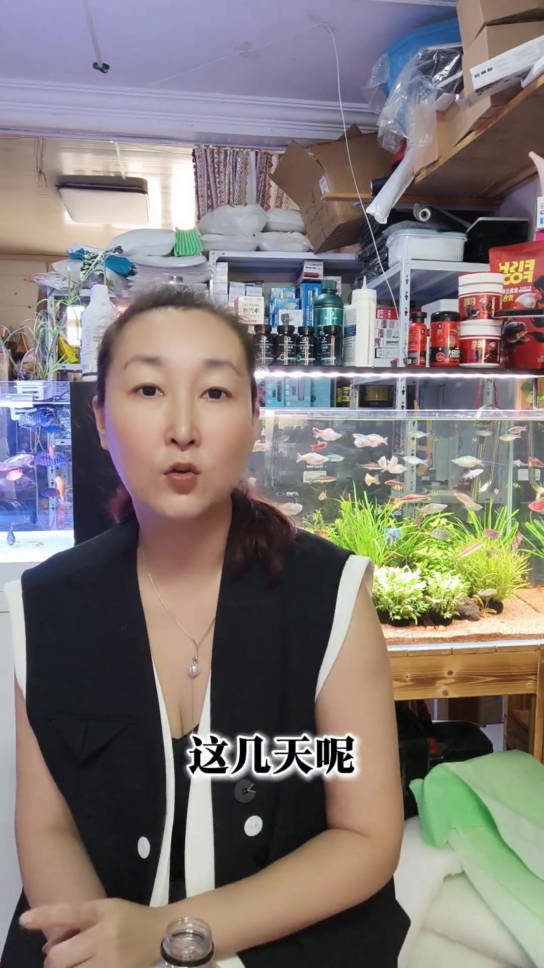 女老板日常分享巨骨舌鱼相关知识