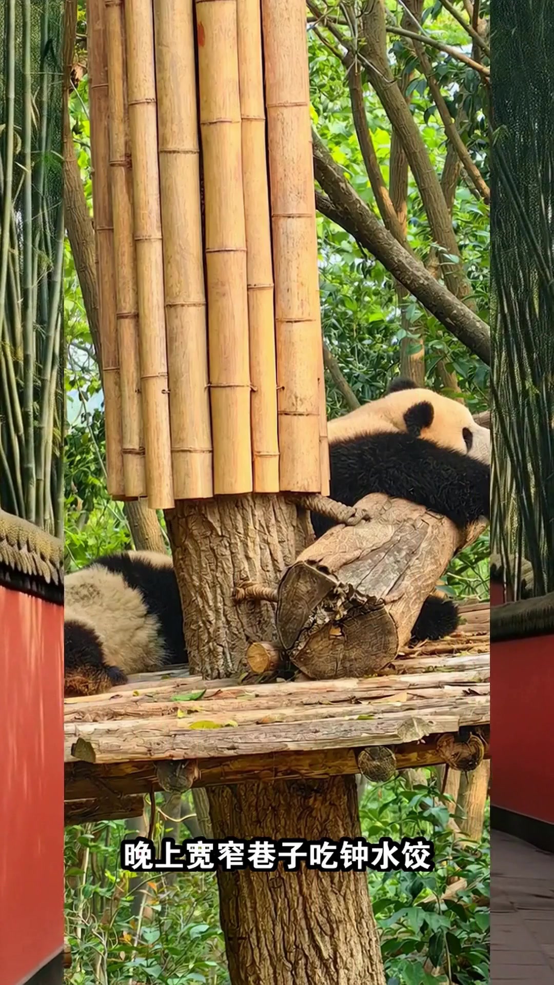 成都特色博物馆探秘路线|三星堆金沙沉浸游!