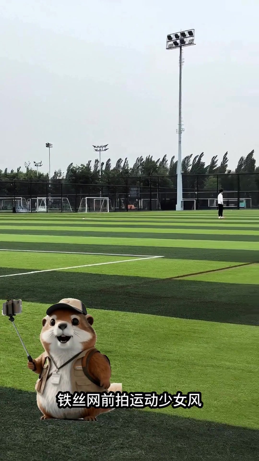 北京人私藏的5个油菜花海!春日限定金黄浪漫,错过等一年