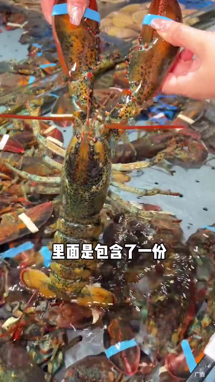 马王堆的汪氏海港湾，吃这么大一桌居然只要