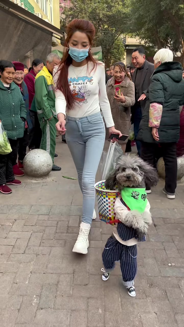 天呐！菜市场阿姨们都说我养的不是狗狗！家人们我养的到底是什么？