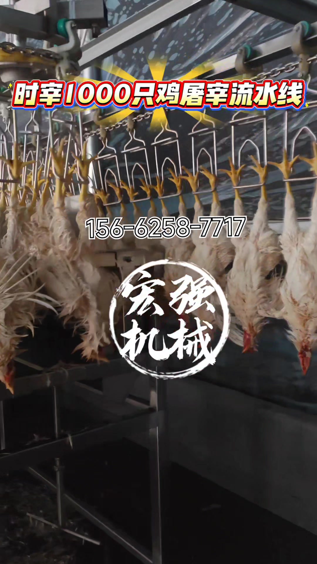 每小时屠宰1000只鸡全自动杀鸡流水线