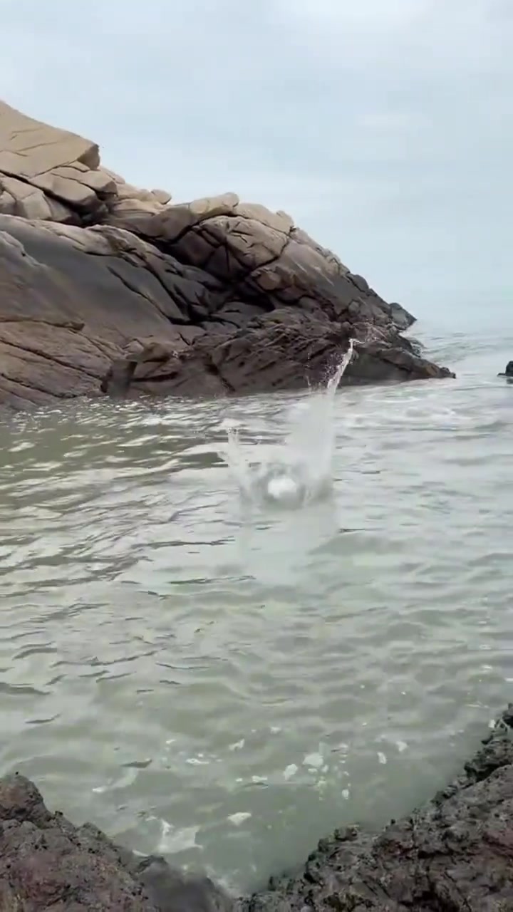 哇！好大一条威风的鳐鱼！