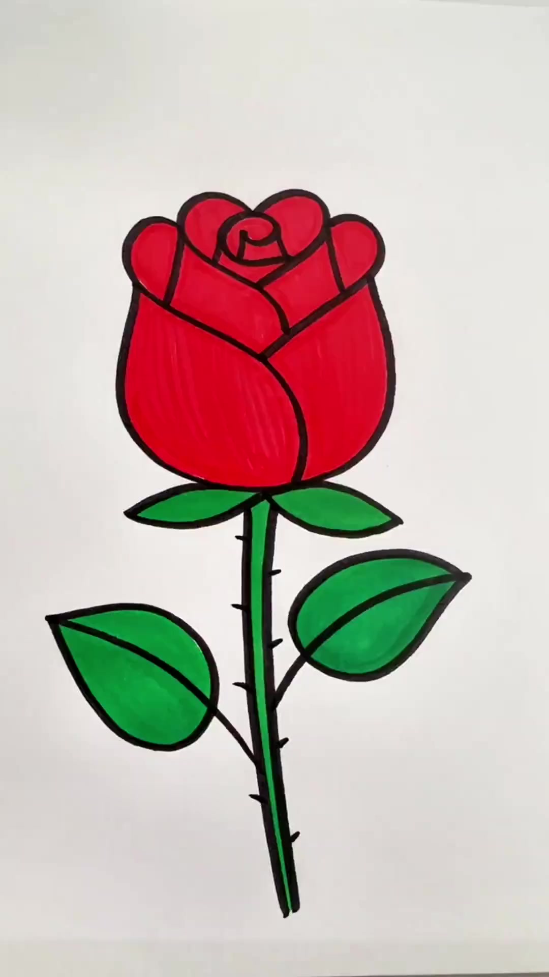 简单又好看的玫瑰花简笔画教程