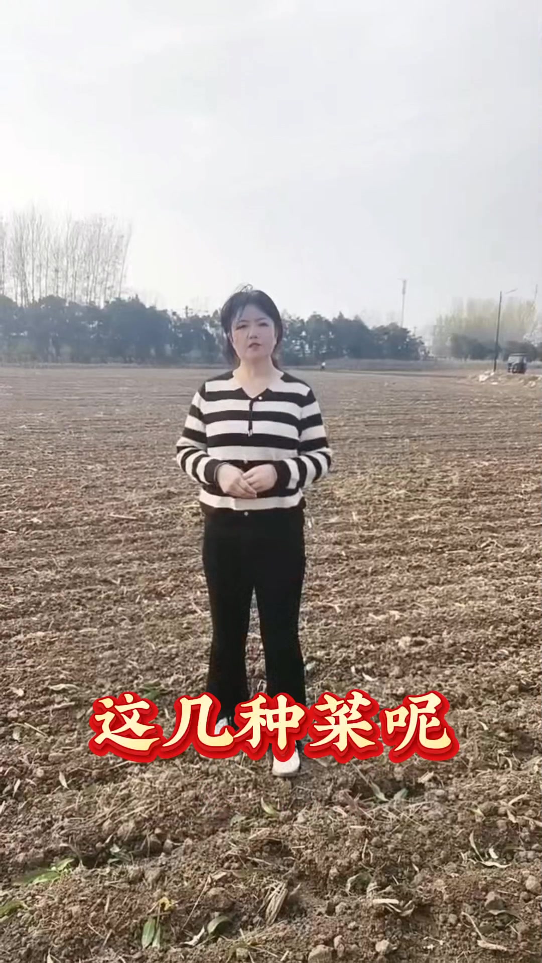 适合南方种的菜是什么!