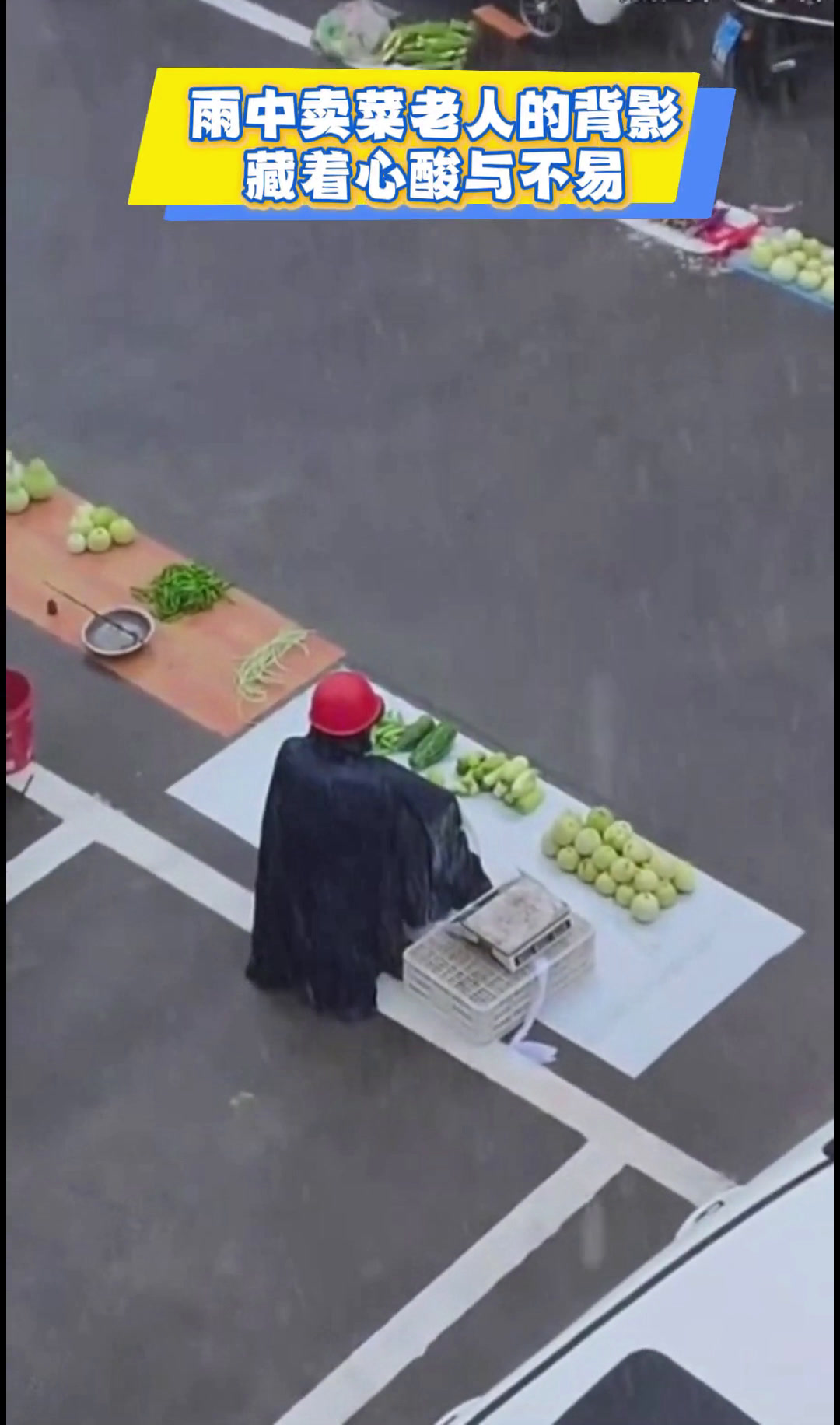 卖菜老人雨中的背影,藏着心酸与不易