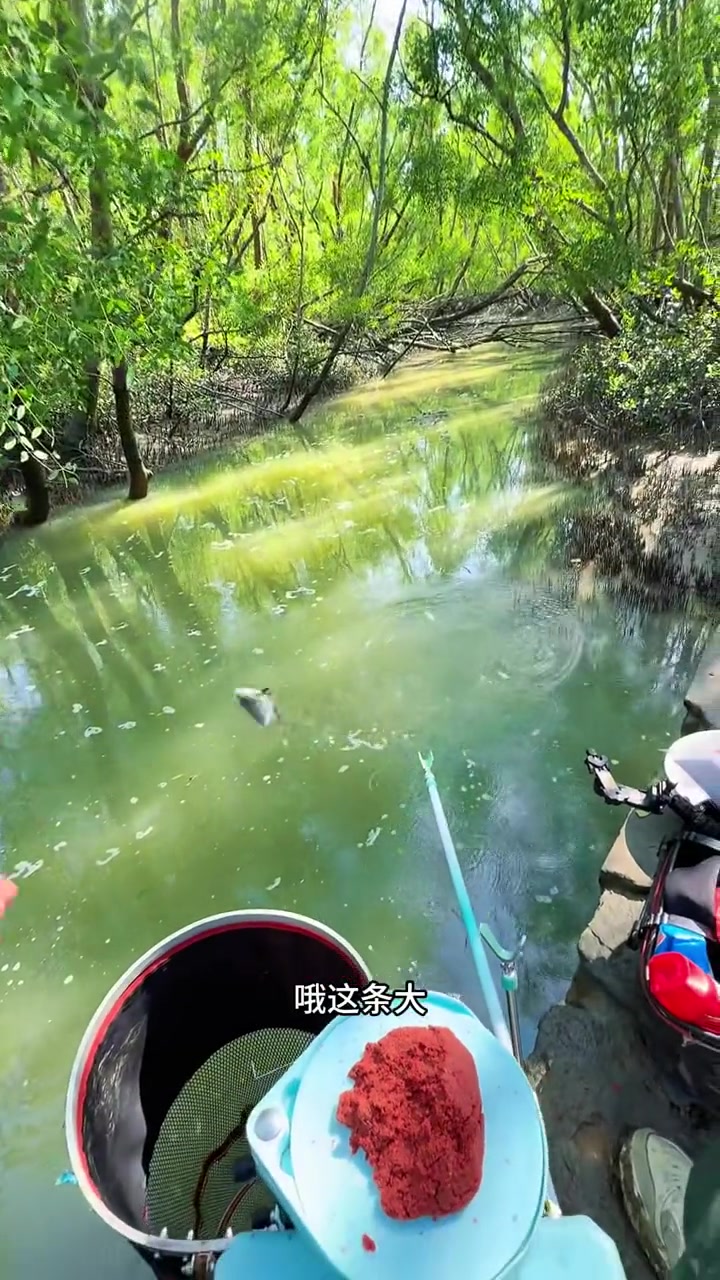 想钓到鱼,还得是这种超级隐蔽的钓点!钓鱼人 钓鱼人就是这么疯狂