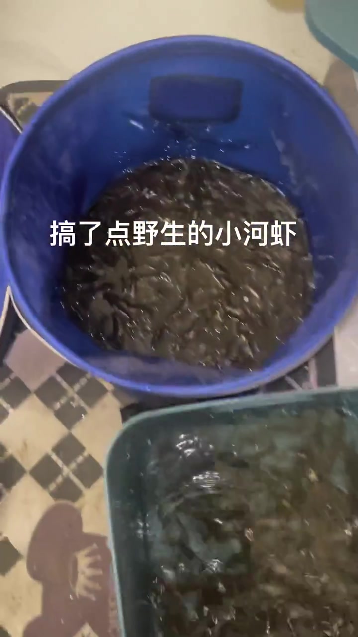 搞了点野生的小河虾
