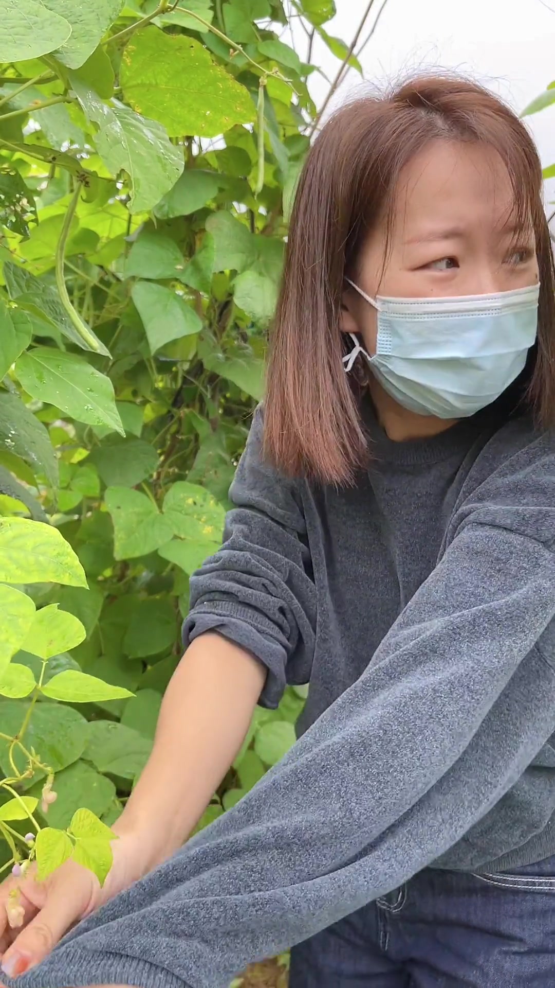 带小孩回妈家过周末，跟着妈妈采摘自家菜园子蔬菜