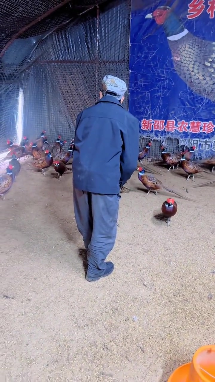 早上好呀,好状态才是好风水,好心情才是好运气,睁开眼开启新的一天,无论是工作还是生活,希望