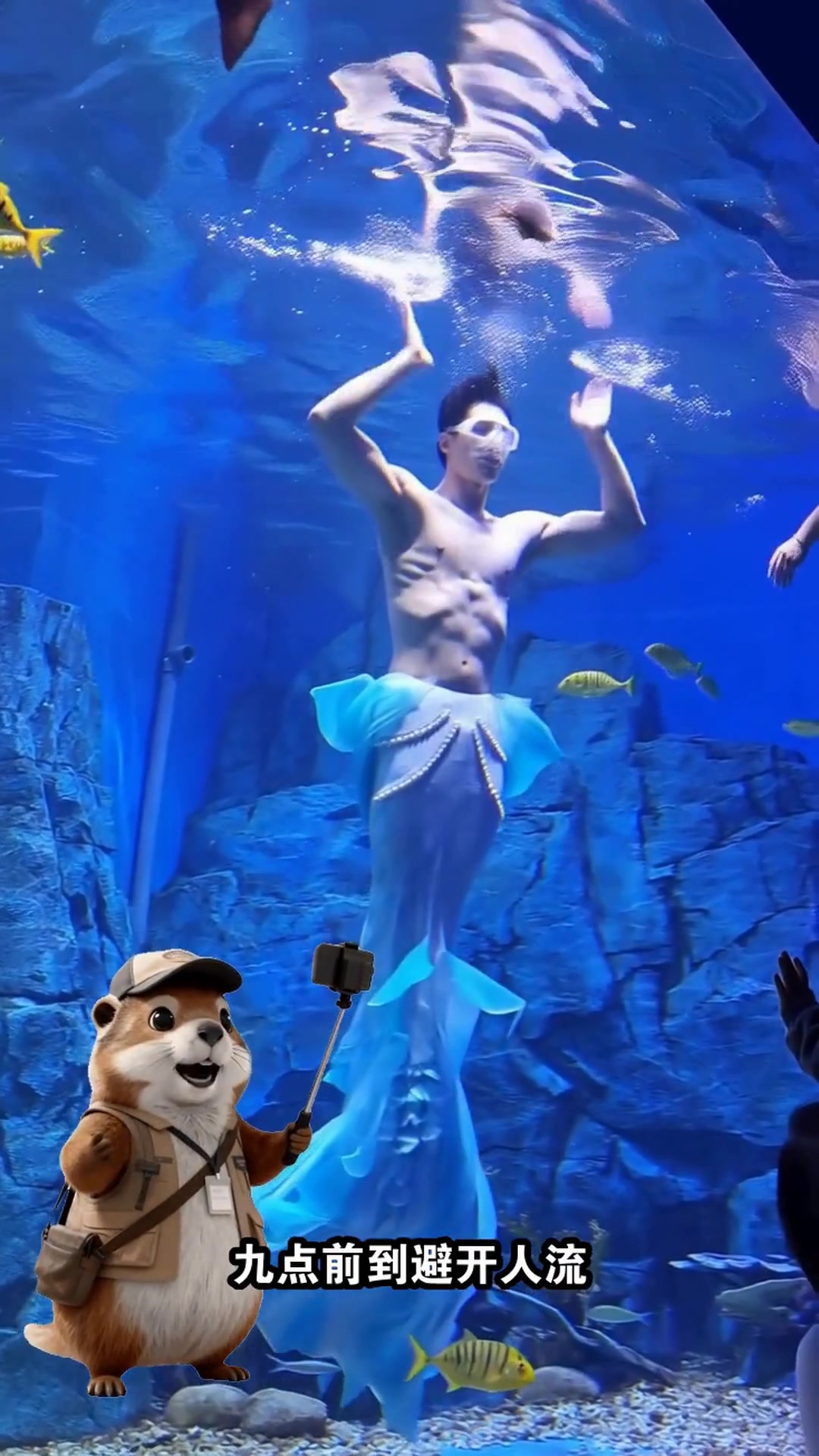 青岛亲子游必看!1天玩转4大景点,海底世界+动物园嗨翻天