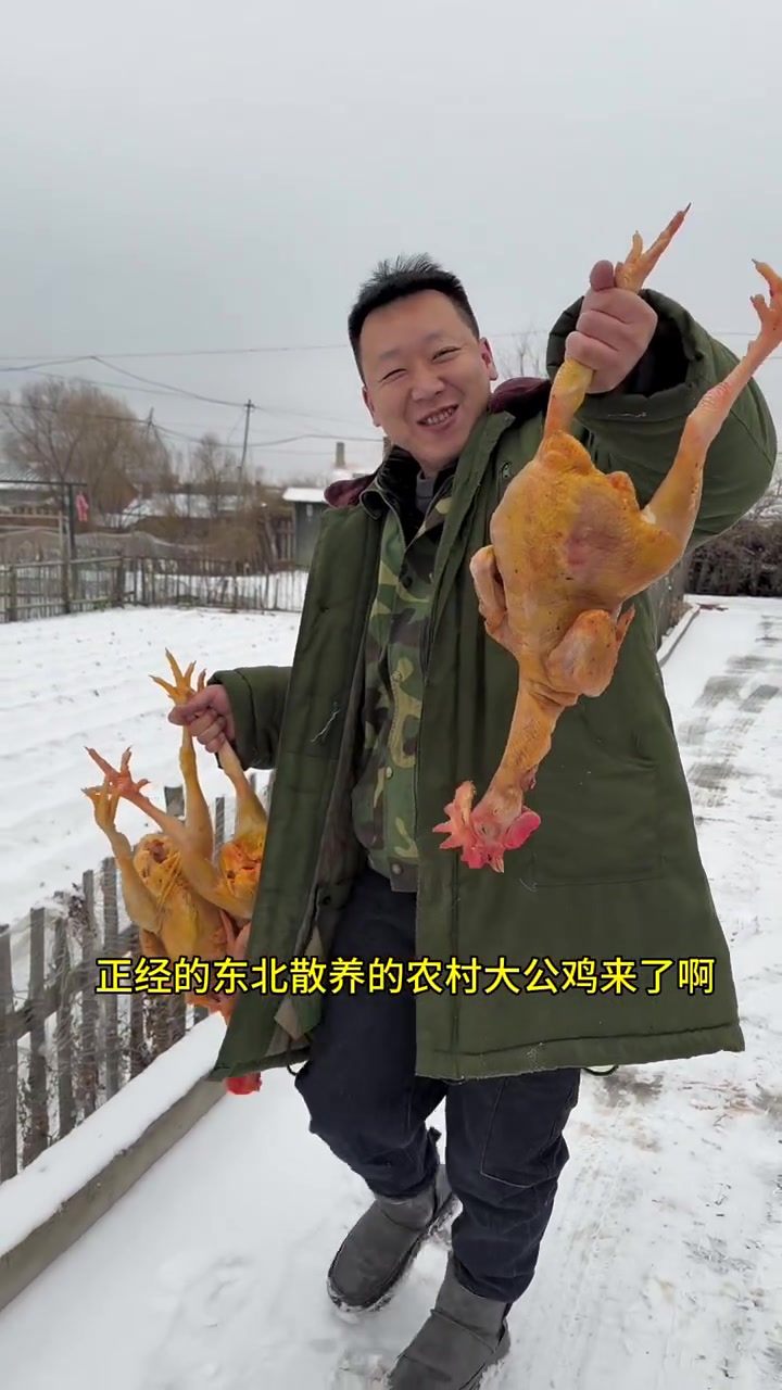 东北农村散养大红公鸡,半年往上,焦黄,嘎嘎香