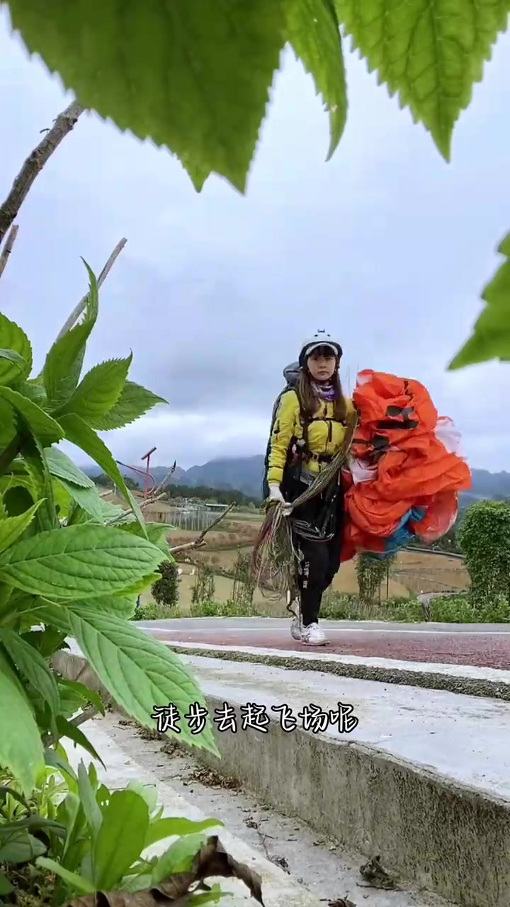 降落到贵州遵义，整个基地的野菜都被我挖光了。这些野菜你们都认识吗