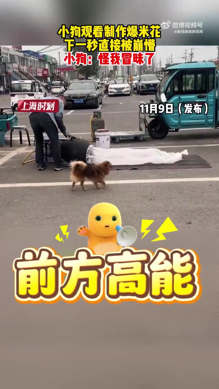 「小狗观看制作爆米花，下一秒直接被崩懵」小狗：怪我冒昧了。via 新民晚报