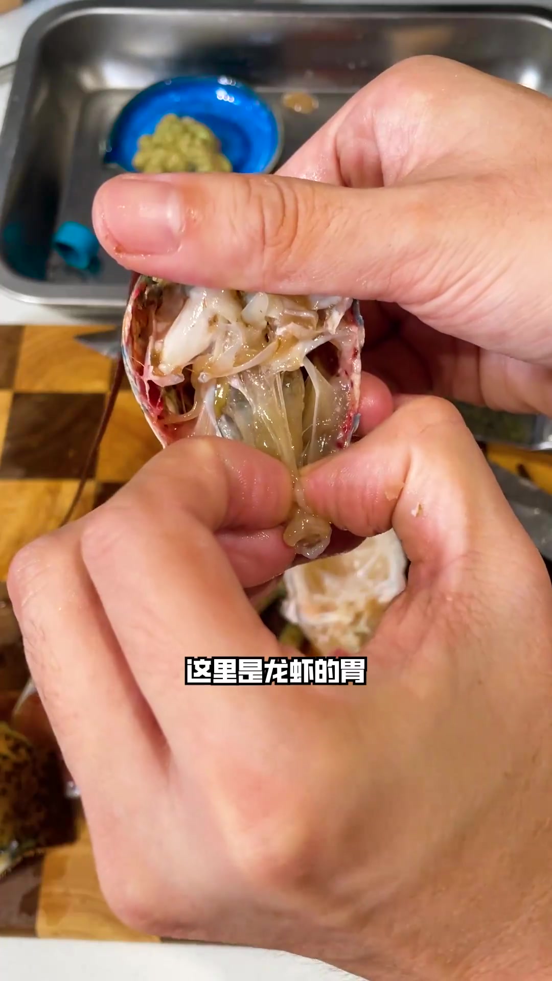 观察波士顿龙虾结构，分解取肉做酸渍尝尝