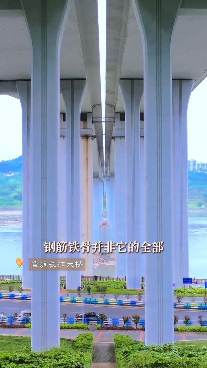 钢筋铁骨并非它的全部。当轻轨与车流在它脊背上奔涌，这座桥便成了重庆人日复一日的生活本身——