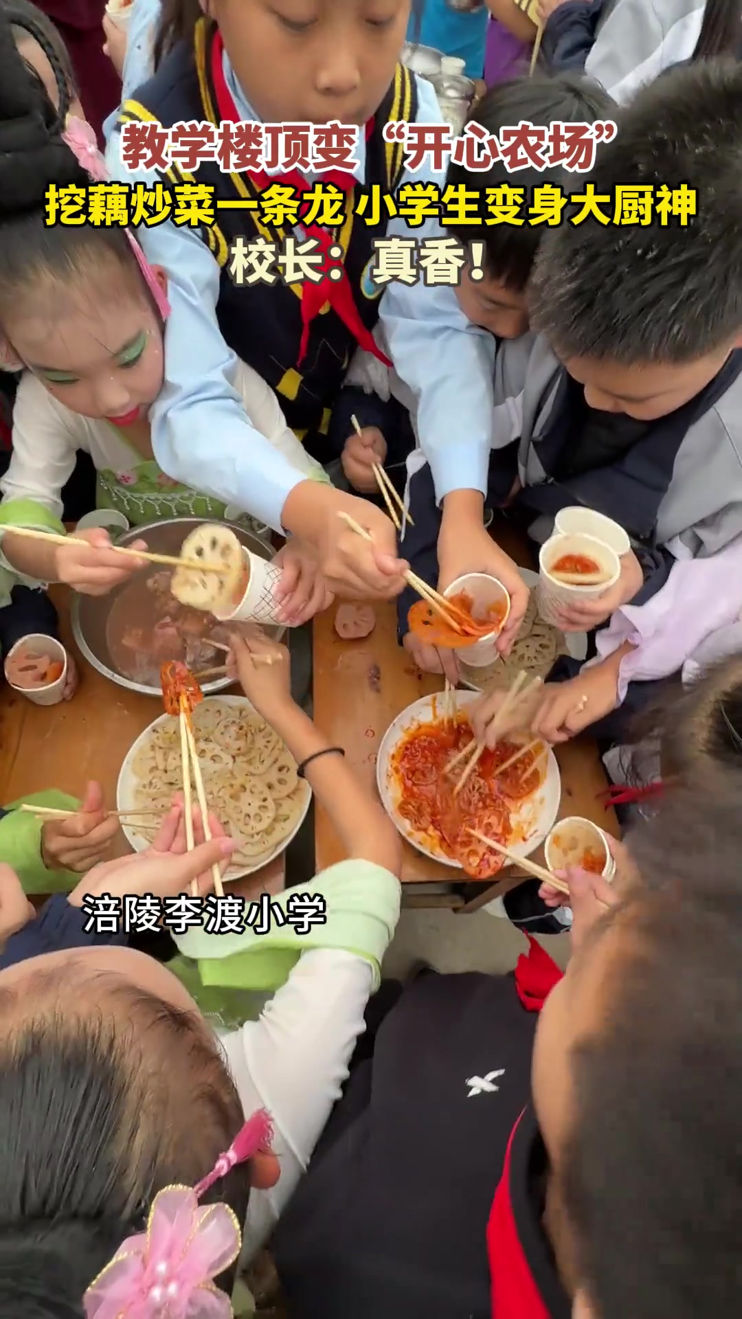 教学楼顶变“开心农场”,挖藕炒菜一条龙 小学生变身大厨神,校长:真香!