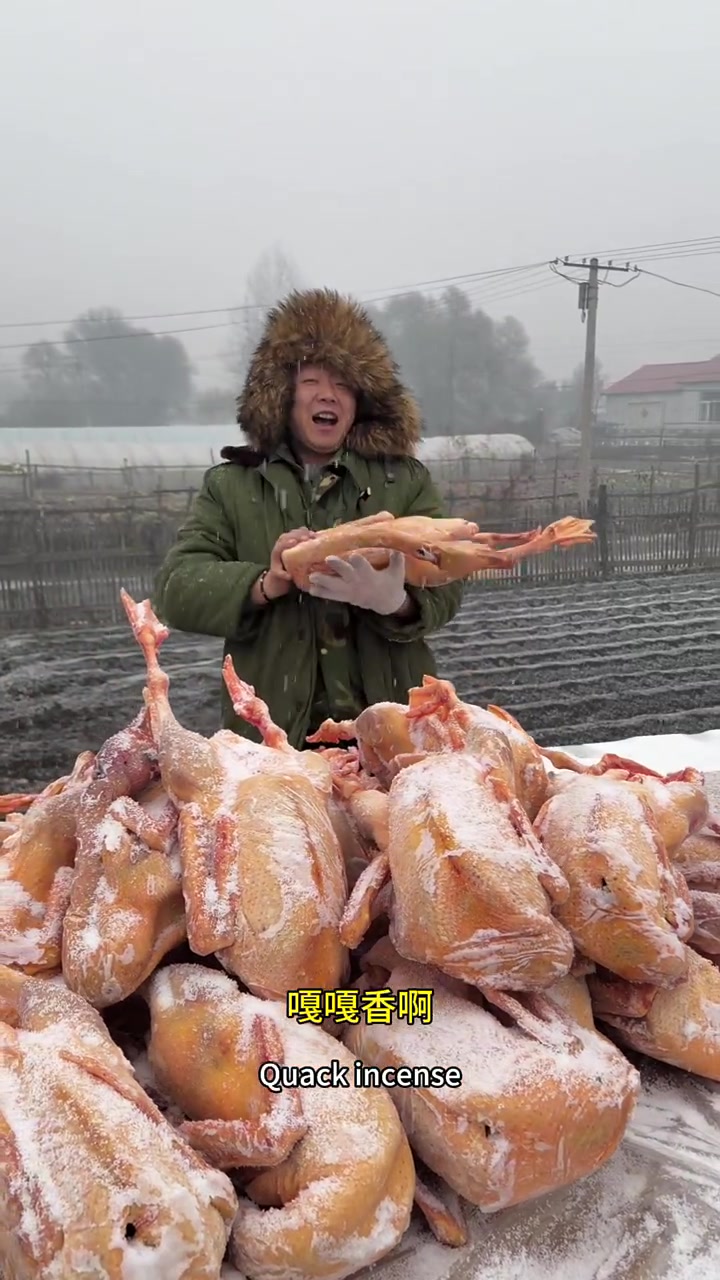 东北农村散养大鹅,嘎嘎香