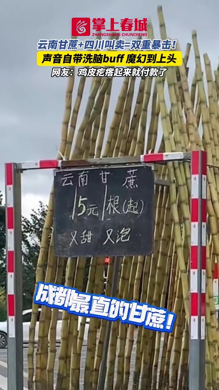 云南甘蔗+四川叫卖=双重暴击!声音自带洗脑buff,魔幻到上头,网友:鸡皮疙瘩起来就付款了