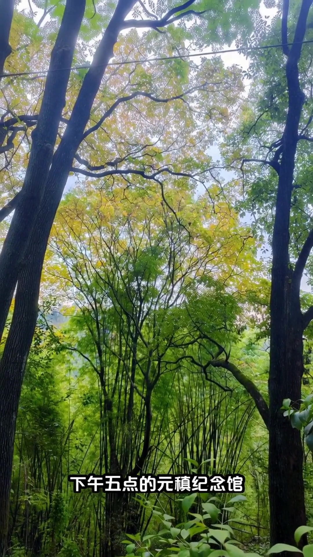 达州人私藏的凤凰山攻略!4个绝美景点+2种必吃美食,速码!