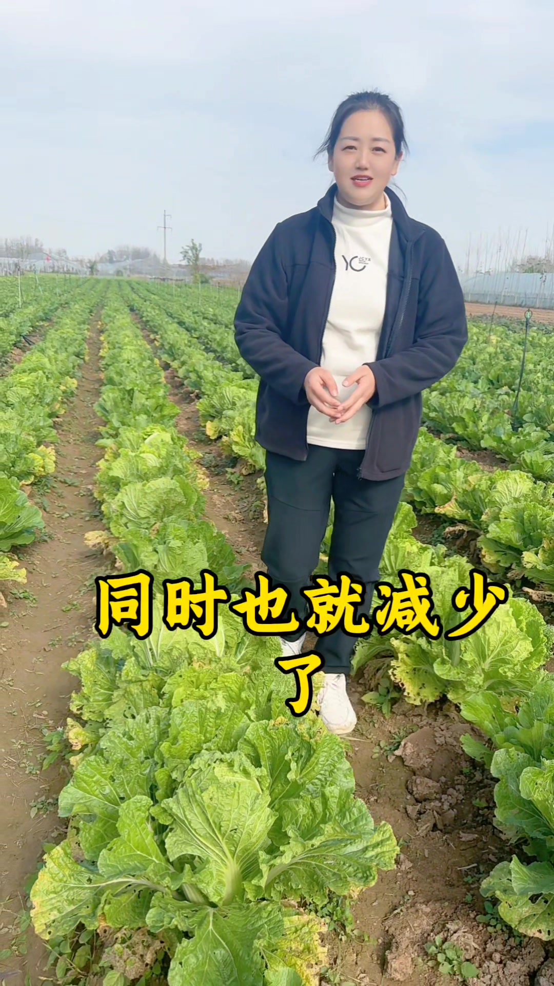 大白菜娃娃菜干烧心