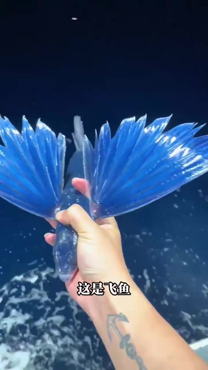 这种鱼到底能不能吃，你知道吗？