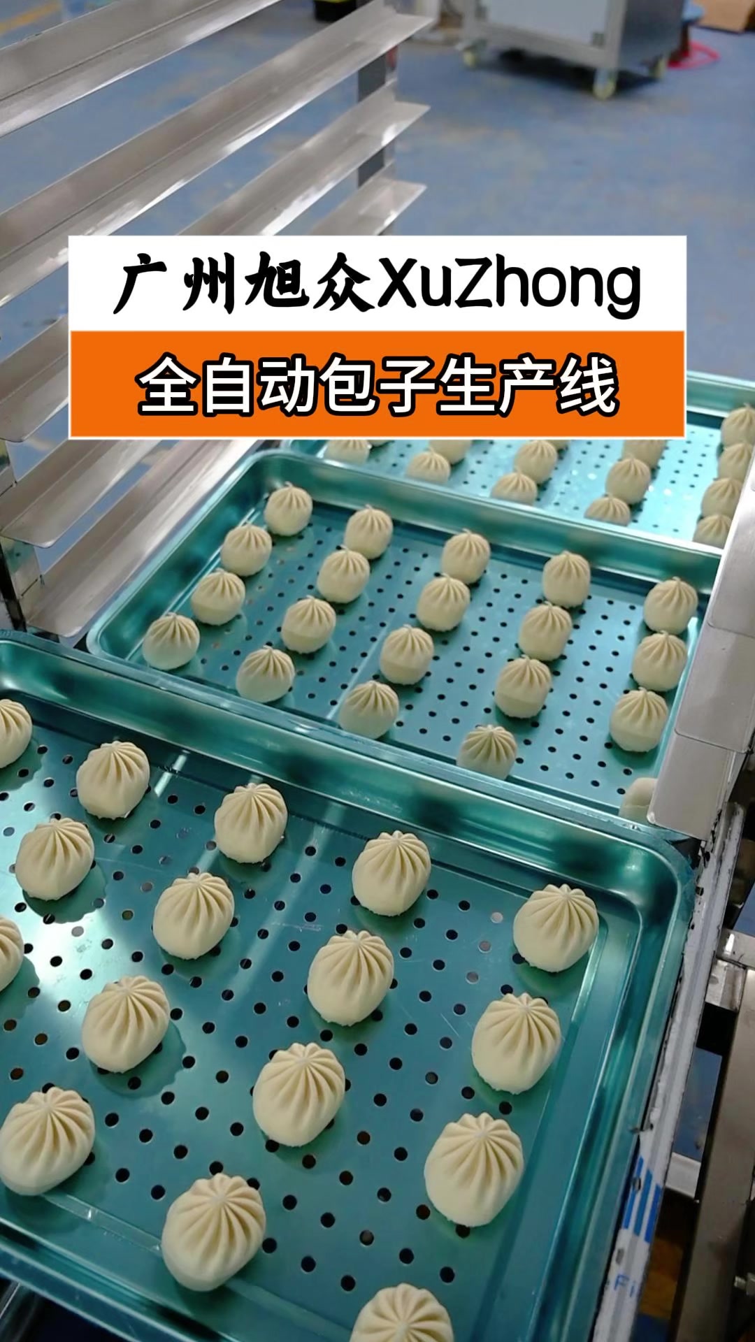 小型全自动包子生产线,自动压面成型一体,搭配自动排盘上架机