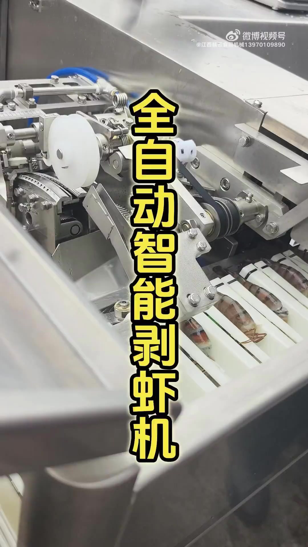 赣云食品机械推出的全自动智能剥虾机,剥虾壳去虾线的机器设备厂家!PLC触屏控制,多菜单可选