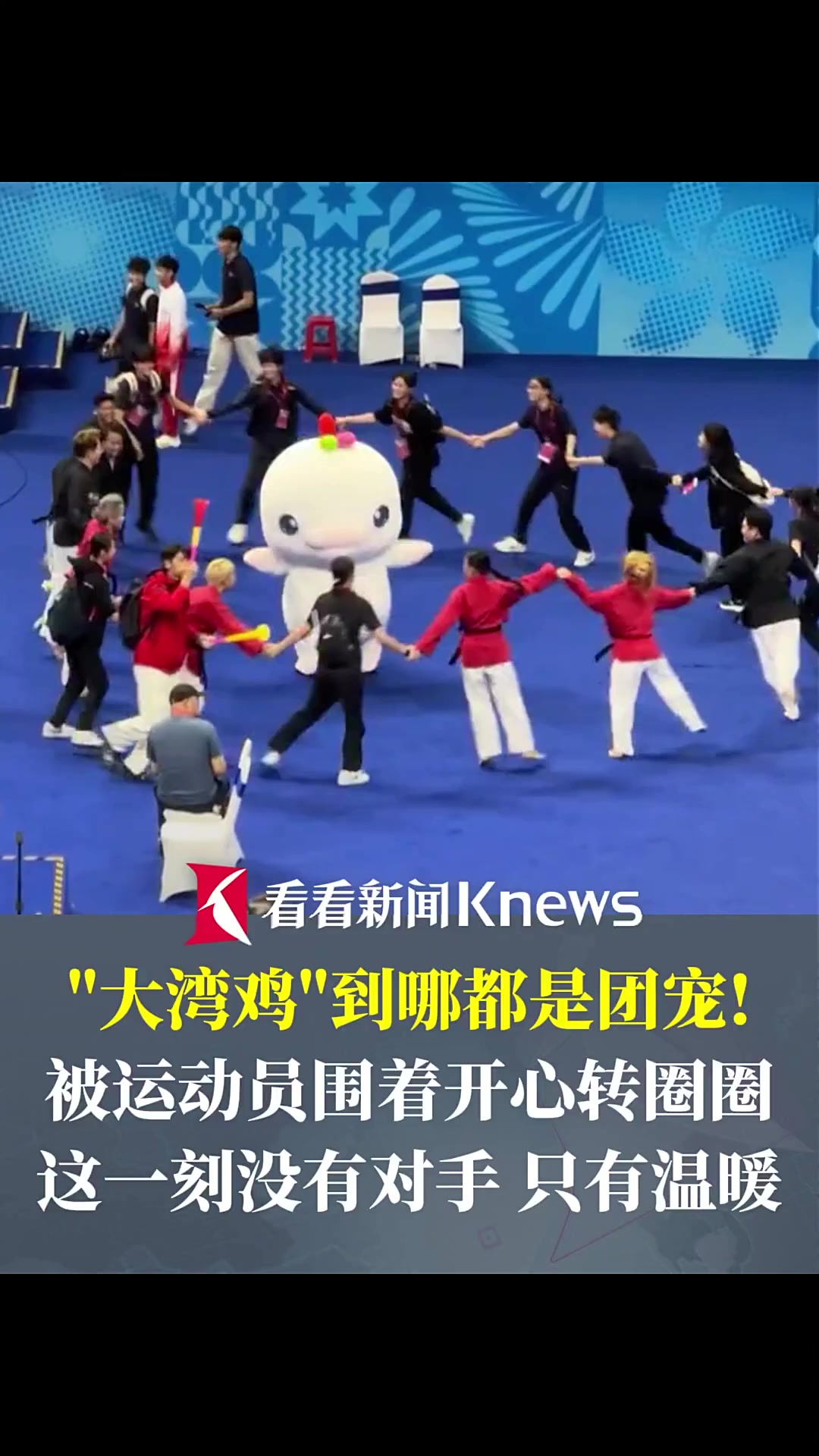 “大湾鸡”到哪都是团宠!被运动员围着开心转圈圈