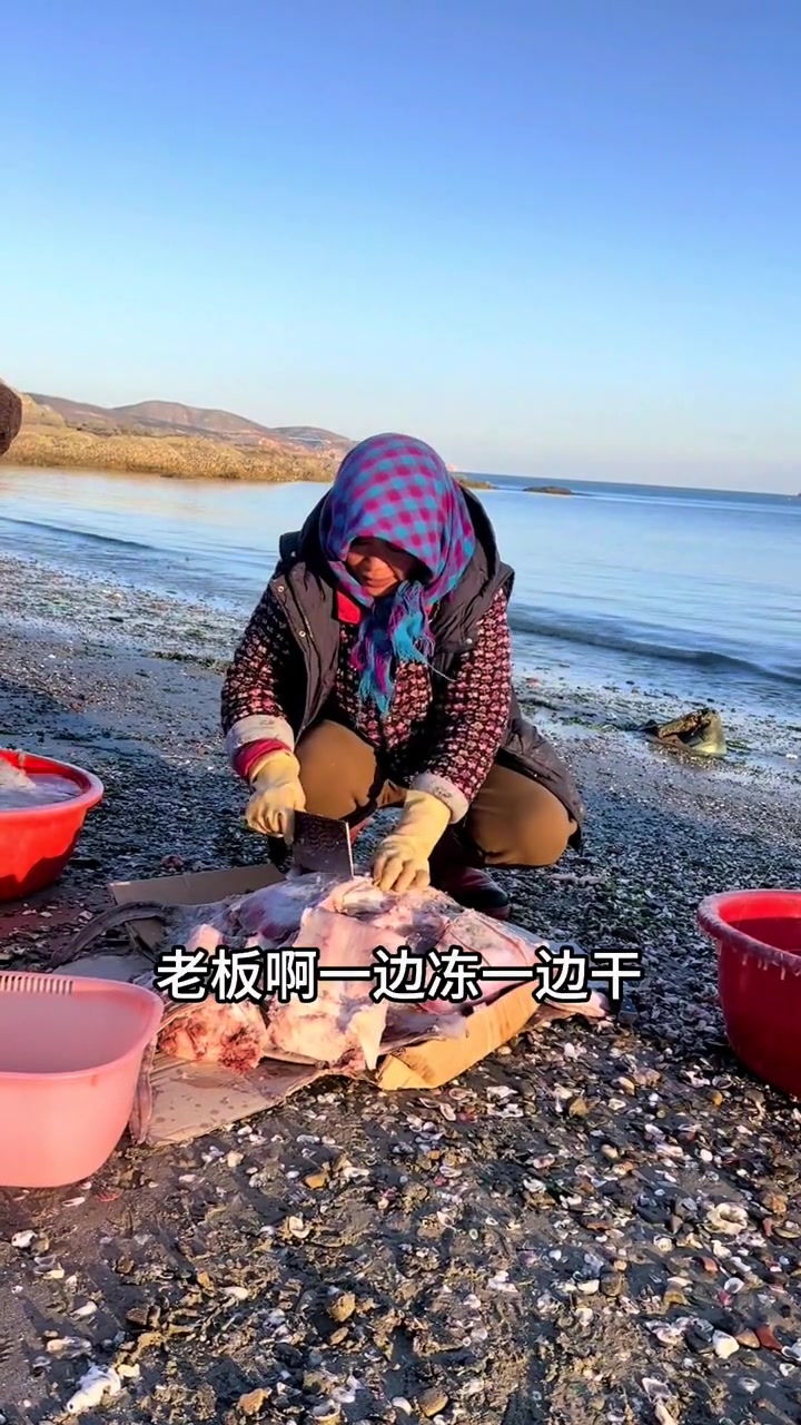 大家一定要记住零下温度晒老板鱼，因为晒不加盐晒淡干