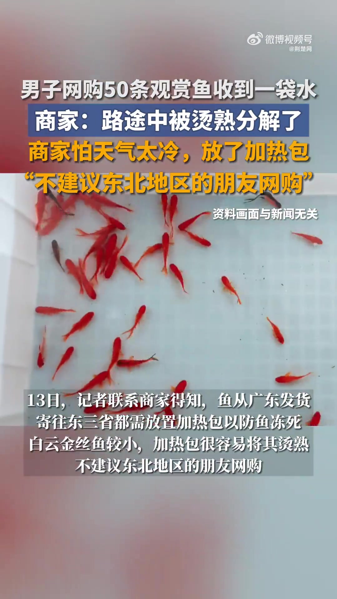「辽宁男子网购50条观赏鱼收到一袋水 商家:被烫熟分解了」商家称男子收到水袋系鱼被烫熟分解