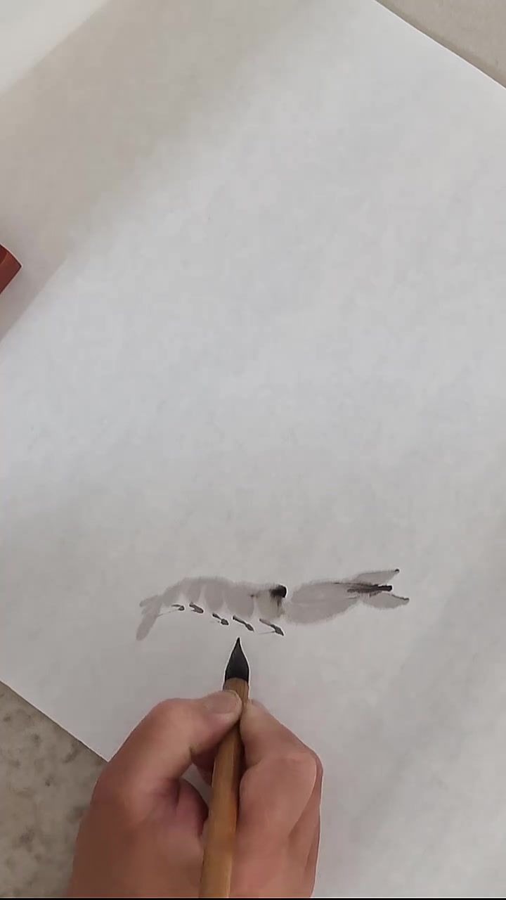画水墨 水墨虾 齐白石水墨