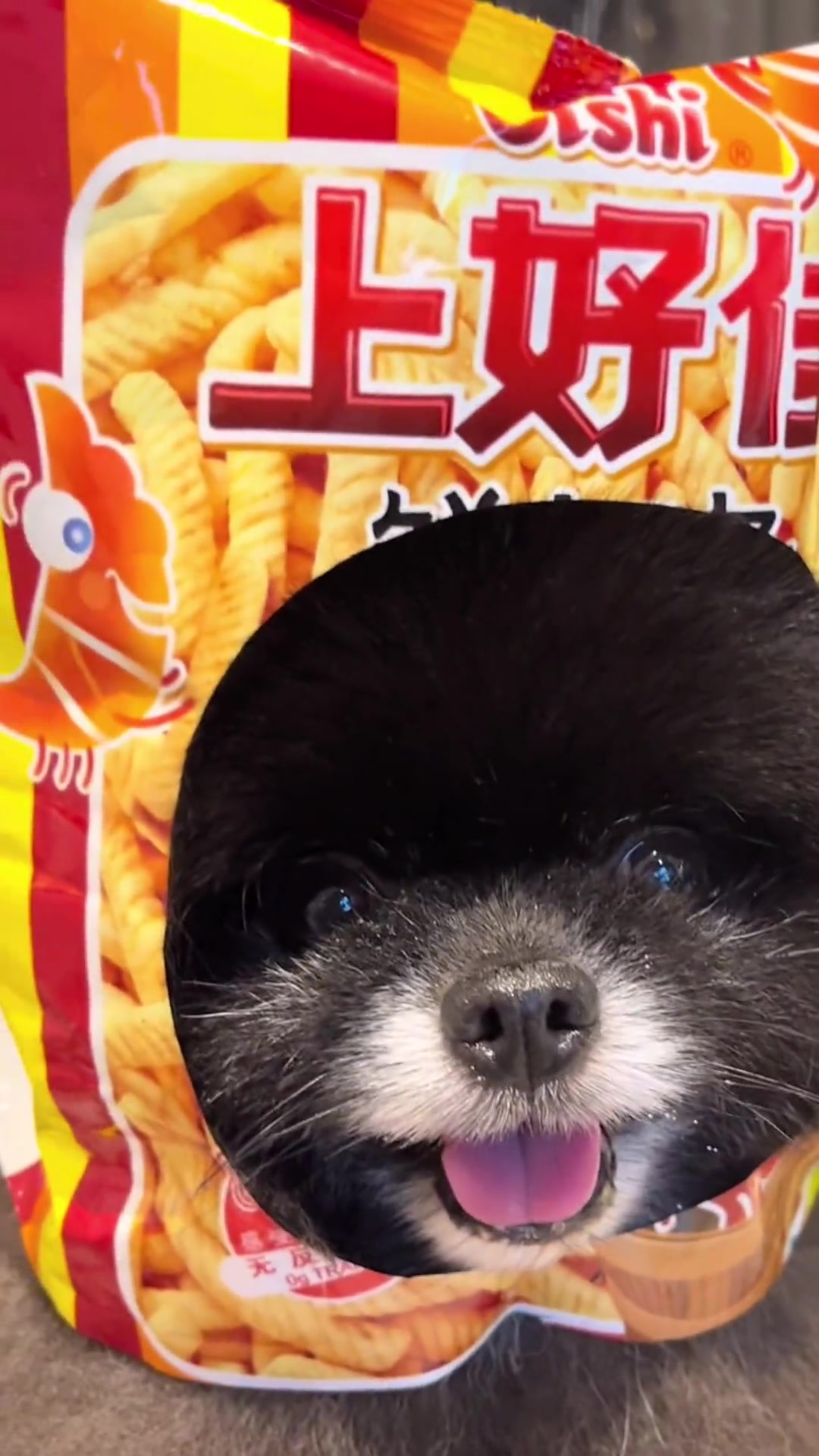 新口味虾虾条,不会只有我一个人买到了吧?