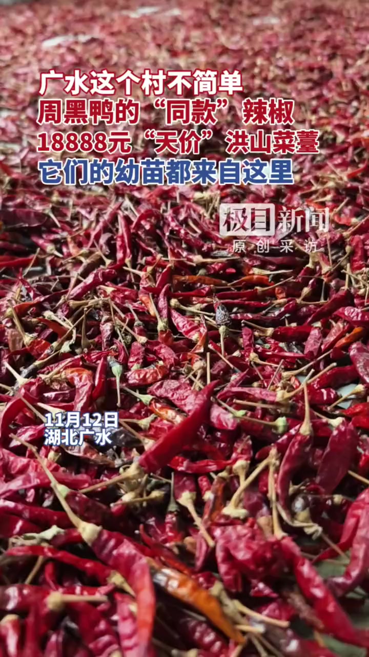 广水这个村不简单,周黑鸭“同款”辣椒,18888元“天价”洪山菜薹,它们的幼苗都来自这里