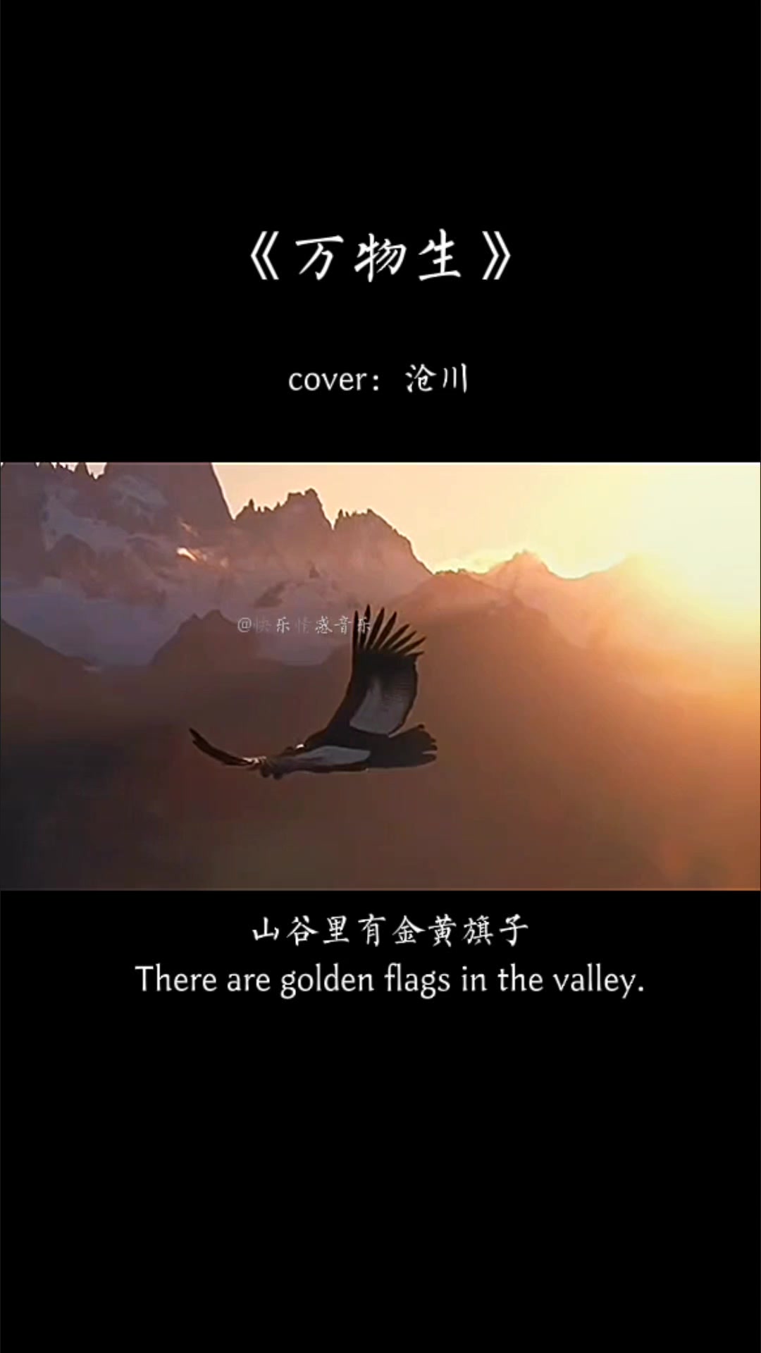 “敲电子木鱼 念赛博真经” 万物生 电子木鱼 音乐分享