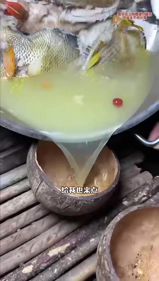 弗洛勒斯群岛生存，在岛上制作了一个弹射鱼枪，抓鱼效率大大提高