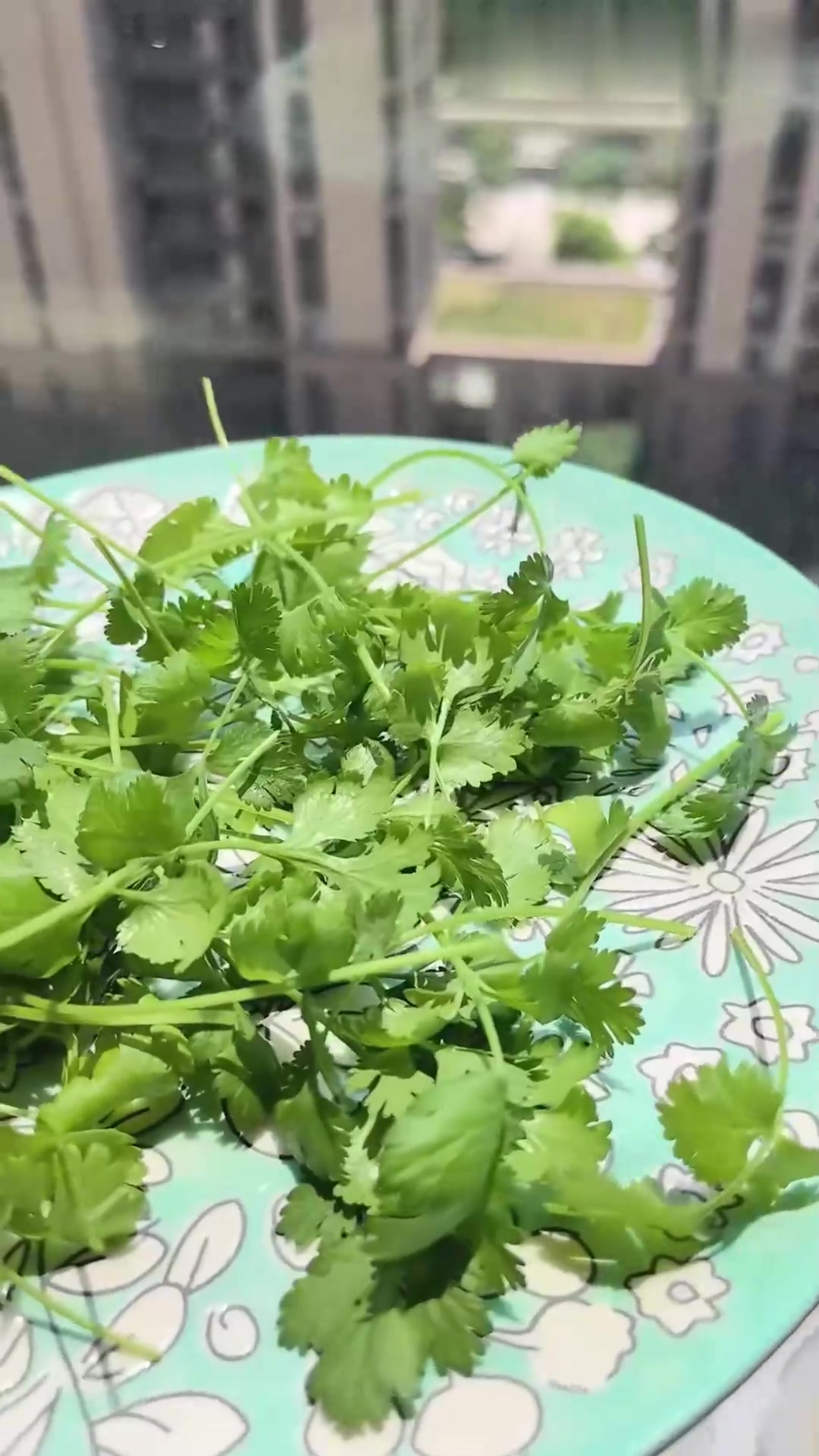 为什么两孩家庭我们偏心姐姐