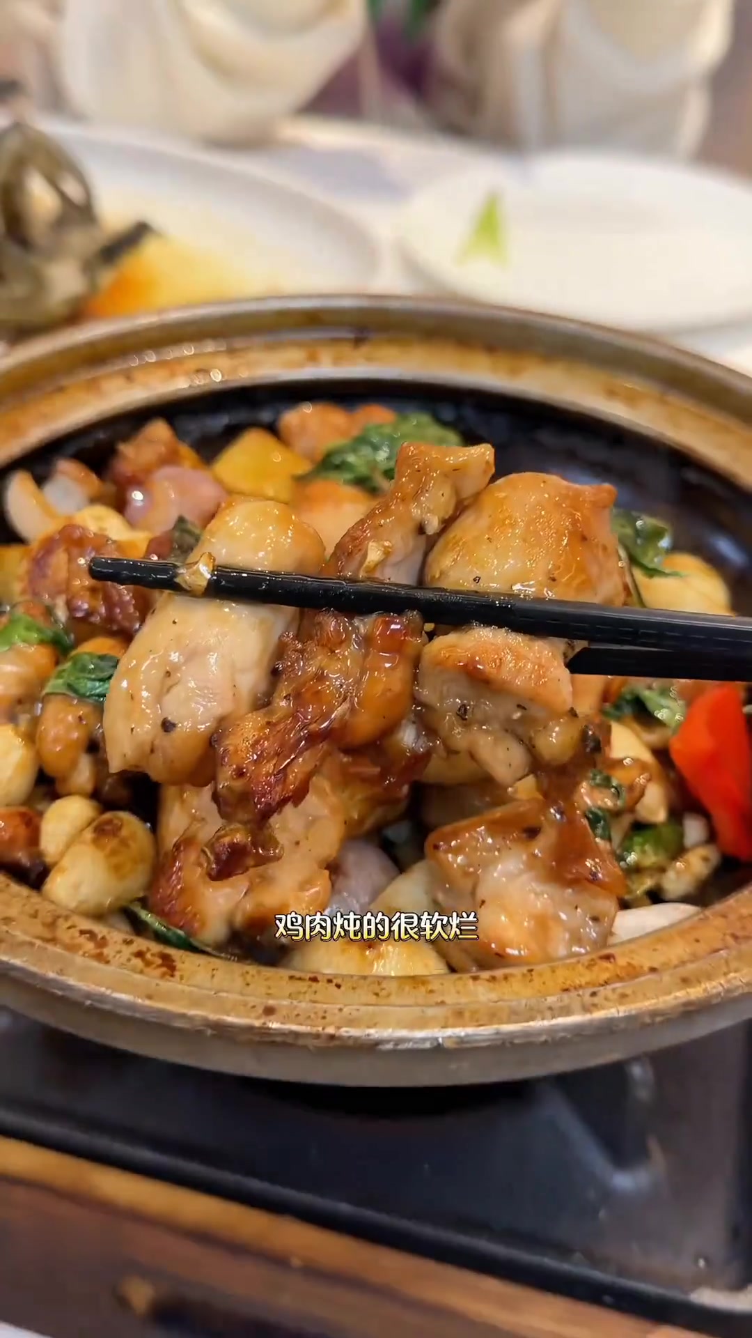 人均几十吃鲜活石斑鱼，岭南焖鸡，一大桌粤菜海鲜