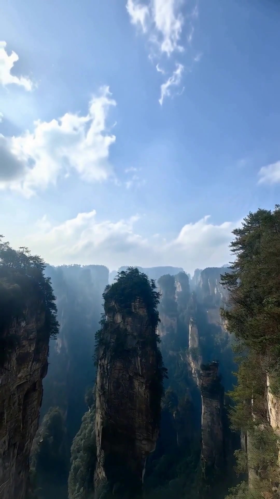 张家界4天5晚全攻略!交通美食景点一网打尽,速速收藏