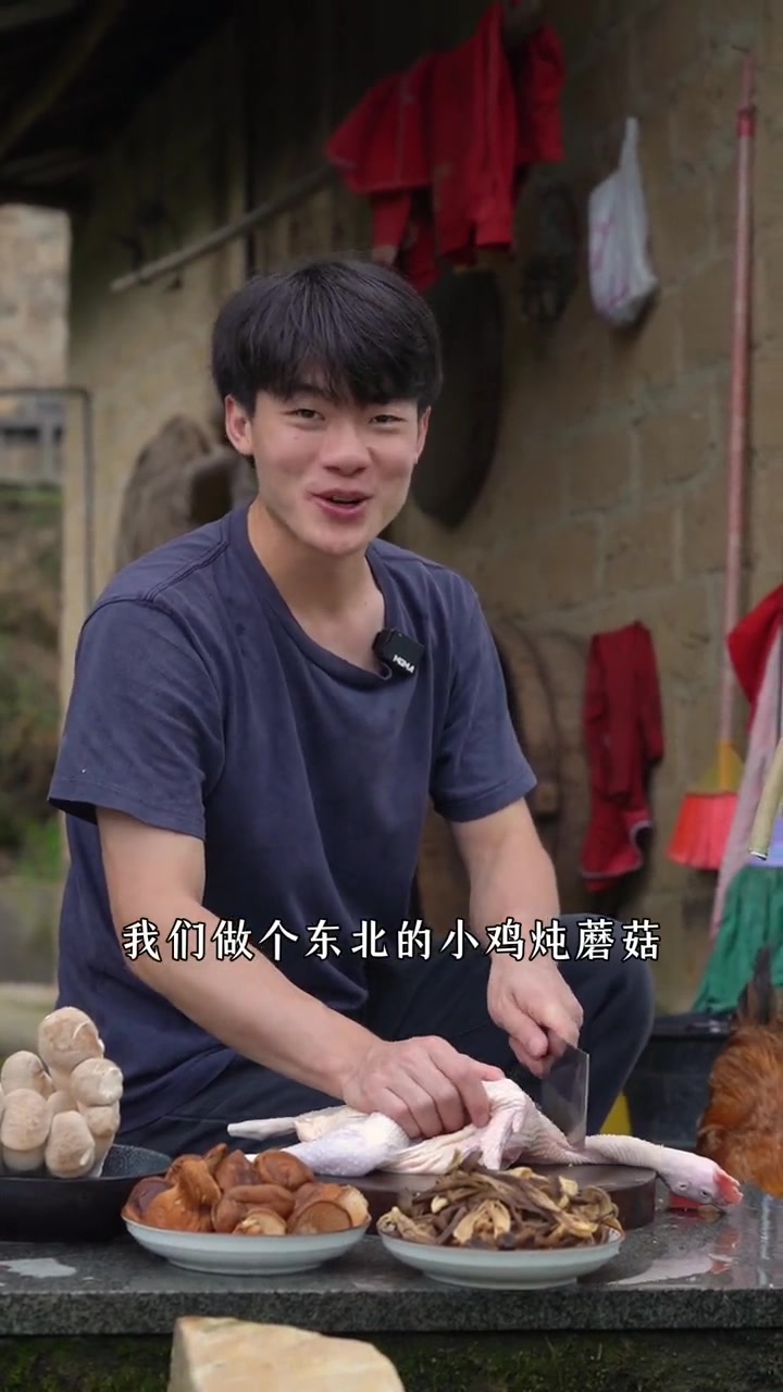 菜头养的鸡拿来做什么都好香！小鸡炖蘑菇、鹿茸菇、杏鲍菇，做了一次蘑菇全宴