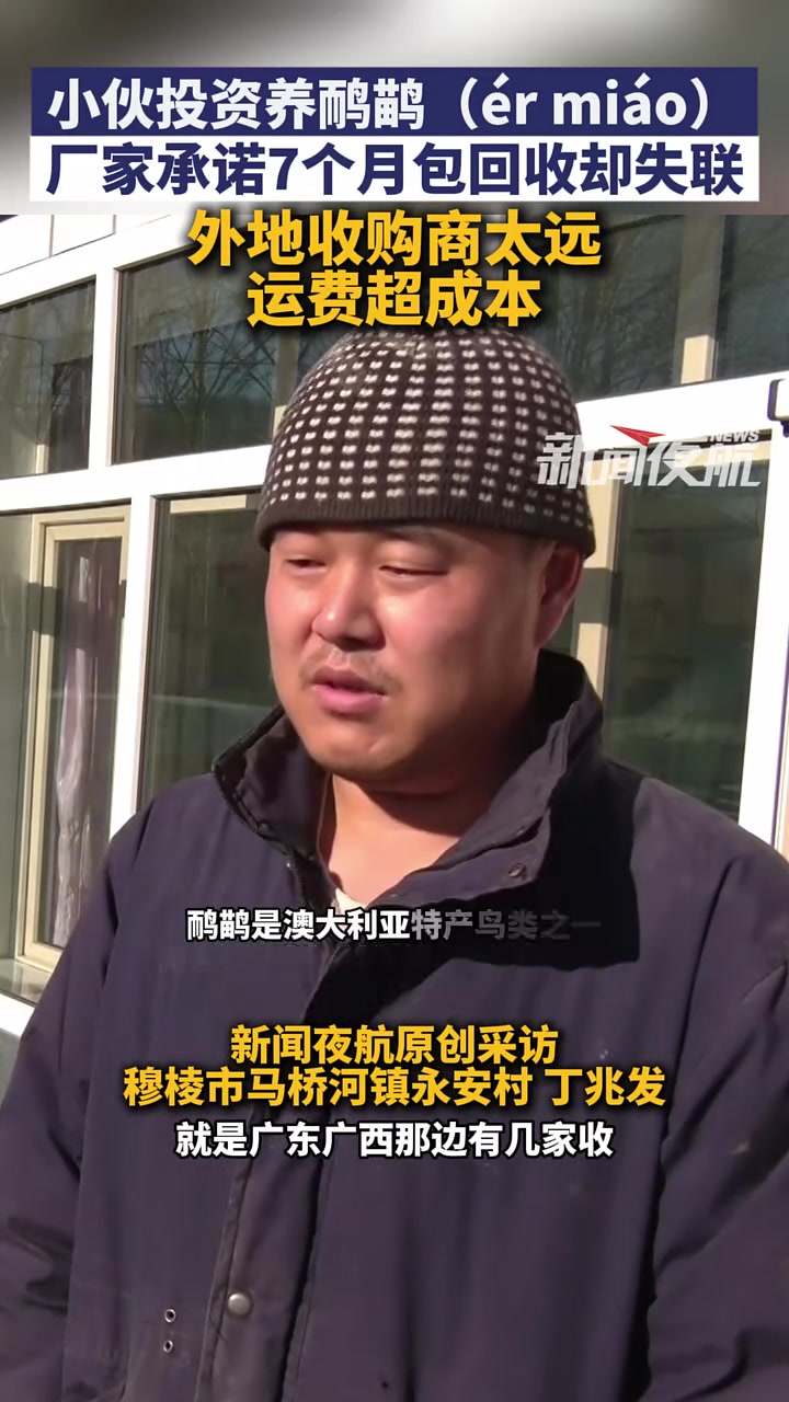 11月14日(发布),黑龙江穆棱。小伙投资养鸸鹋(ér miáo),厂家承诺7个月包回收却