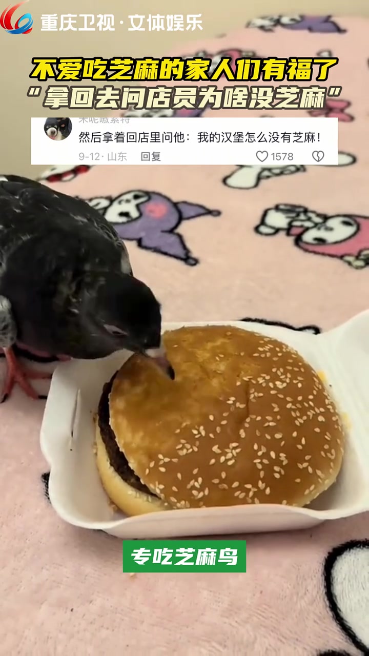 不爱吃芝麻的人有福了!