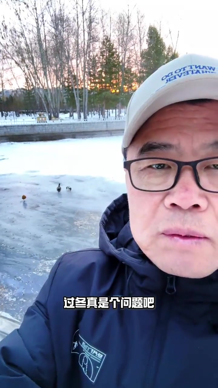 有人说,放弃南飞的野鸭在呼伦贝尔也能过冬。是真的吗?动物零距离 人与自然和谐共处 爱鸟护鸟
