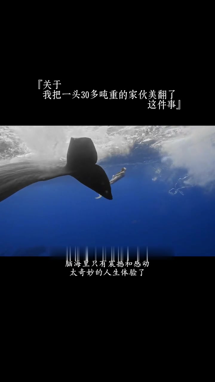 可以吹一辈子了“我把鲸鱼美翻了”！巨物恐惧慎入