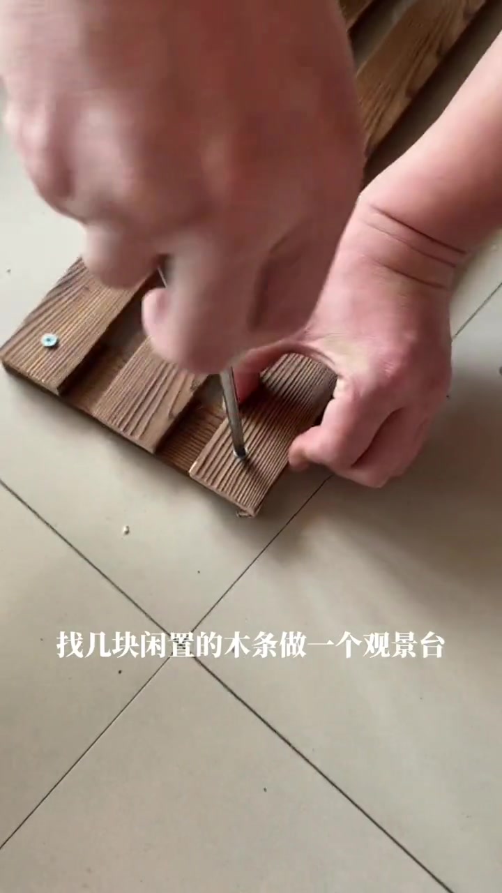 你的家里一定需要一口这么漂亮的古法生态缸