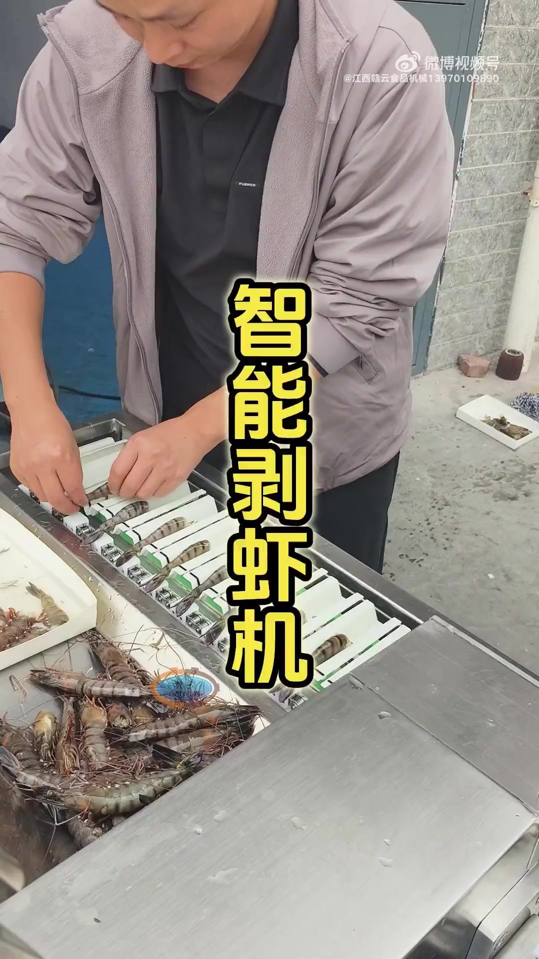 美国全自动智能剥虾机!PLC触屏控制,多种加工方案选菜单即可加工,可满足各种虾型深浅开背虾