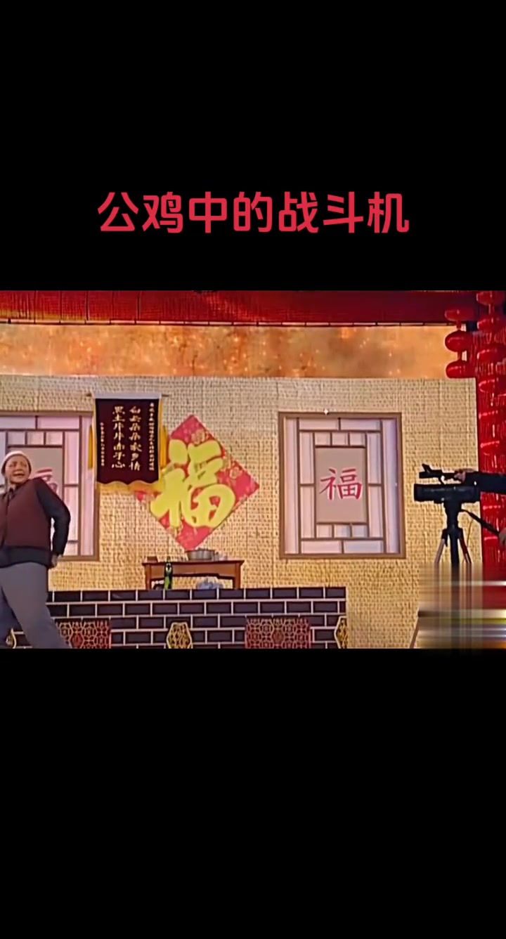 下蛋公鸡，公鸡中的战斗机，宋丹丹赵本山小品