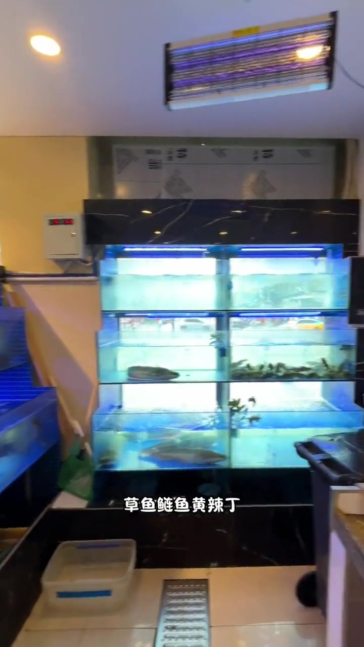 cbd也有好吃的鱼馆子啦