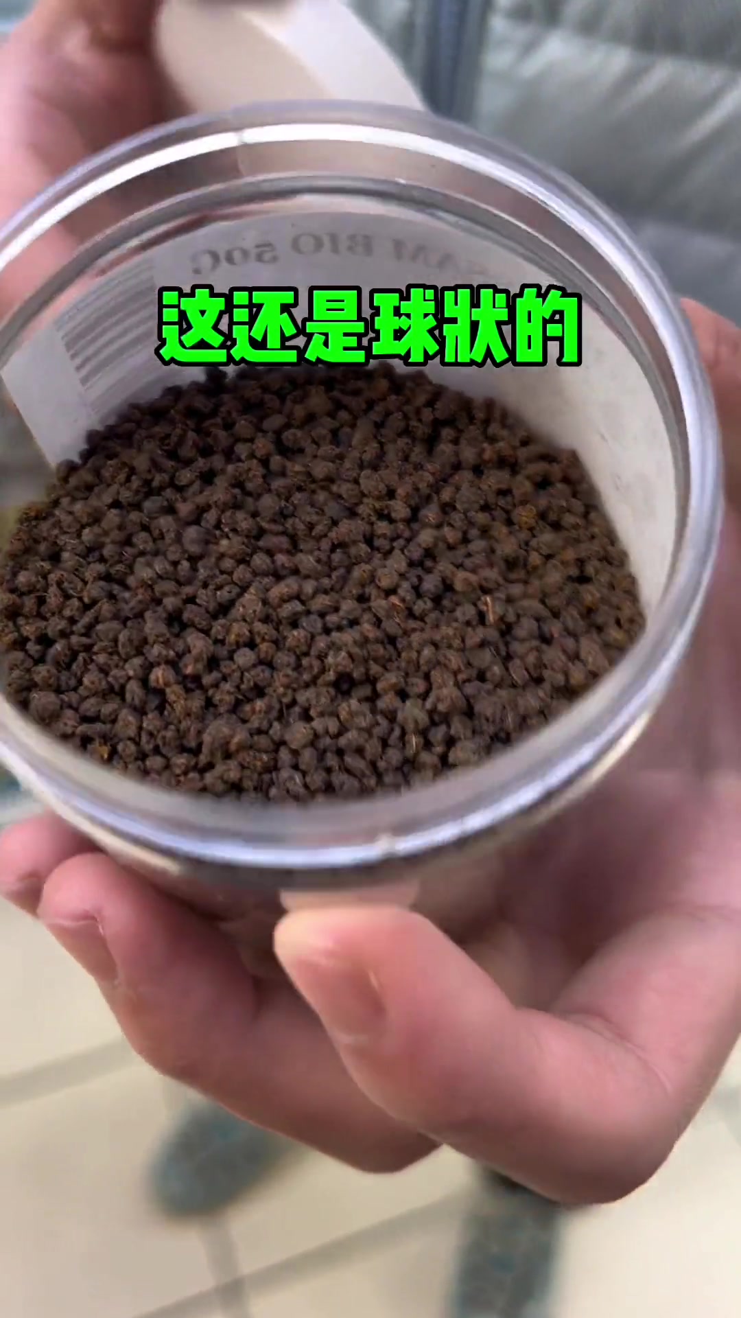 阿萨姆奶茶源自印度?它到底正不正宗,今儿一探究竟