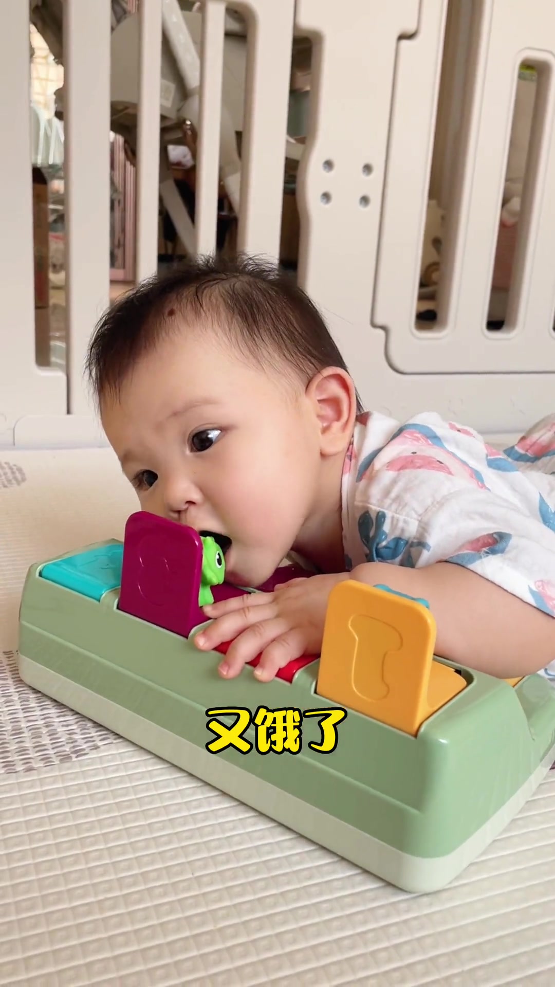 今天的无蛋无面粉紫薯大米蒸糕